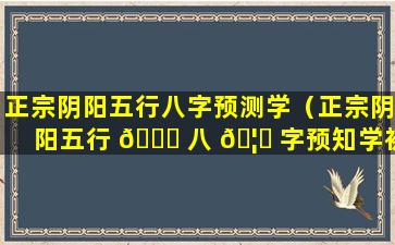 正宗阴阳五行八字预测学（正宗阴阳五行 🐋 八 🦊 字预知学初级课程）